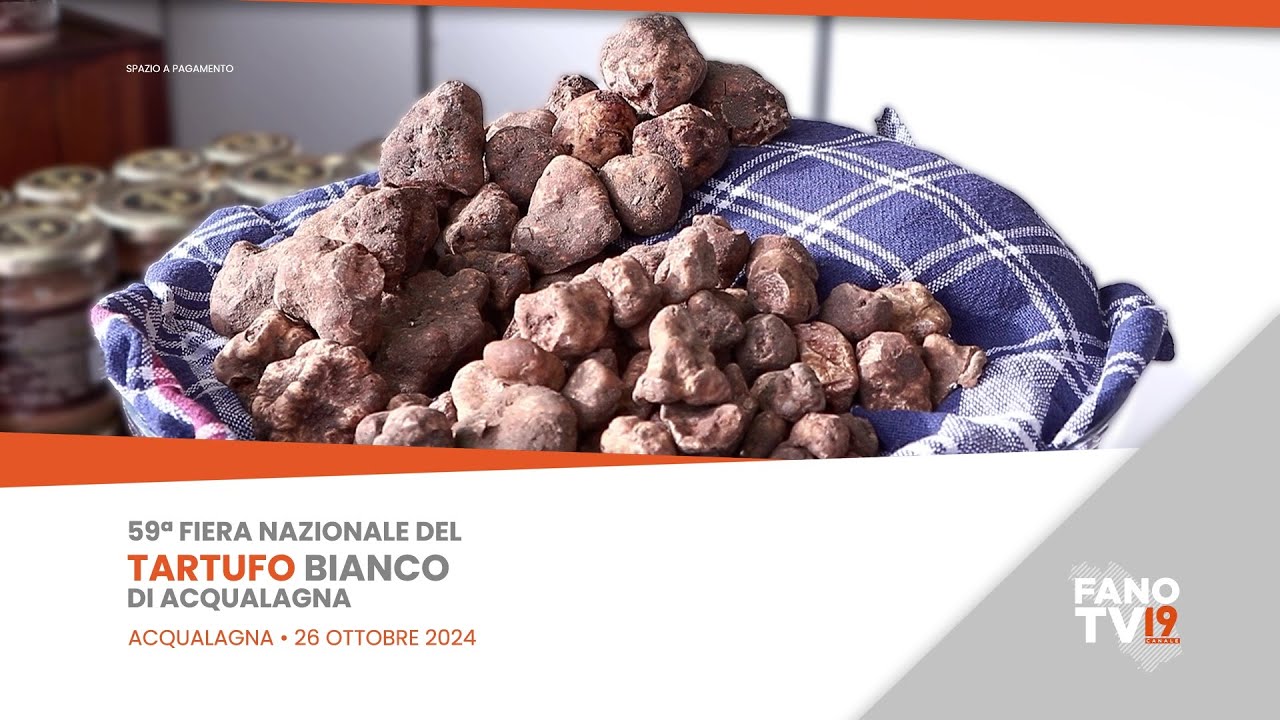 59ª Fiera Nazionale del Tartufo Bianco di Acqualagna