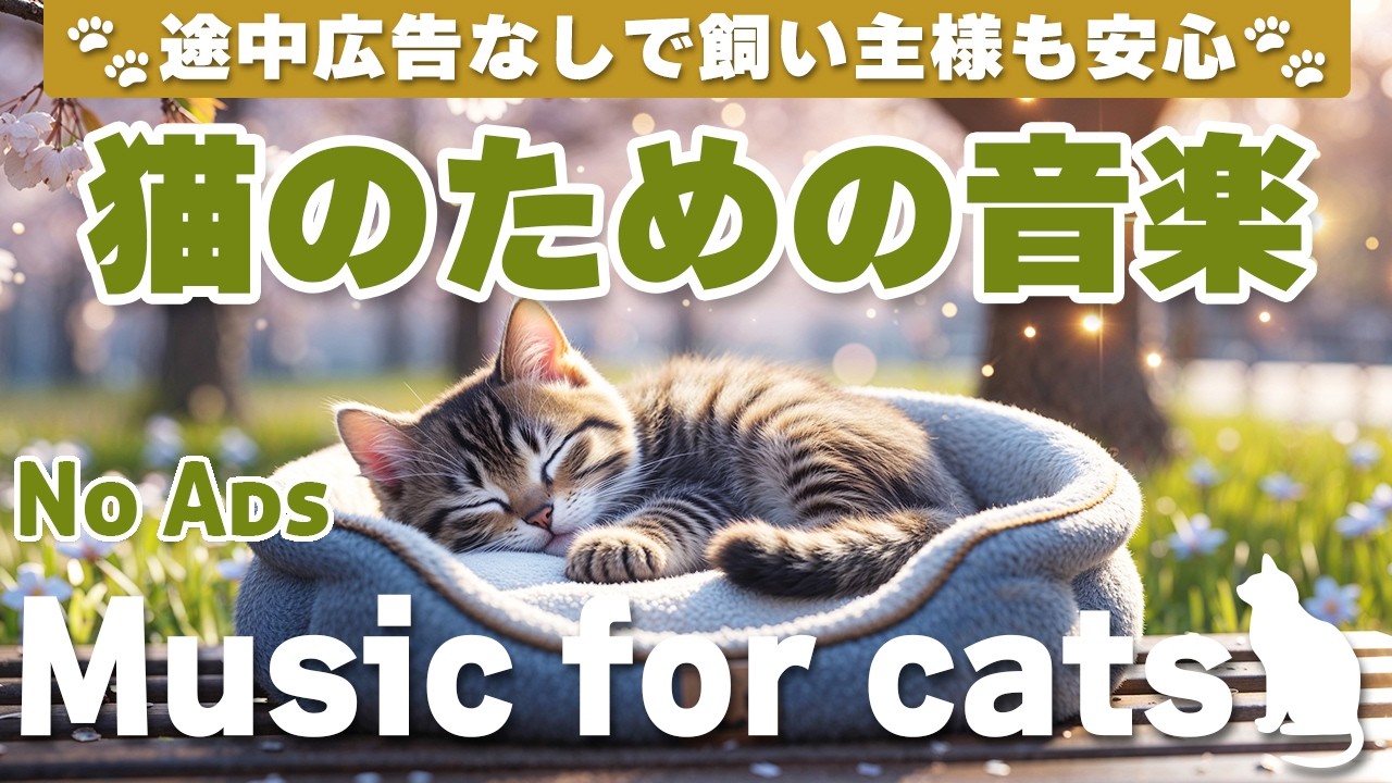 猫が落ち着く音楽｜留守番中も安心できるBGM（12時間・途中広告なし）Relaxing Music for Cats | No Ads | 12 Hours _vol.369