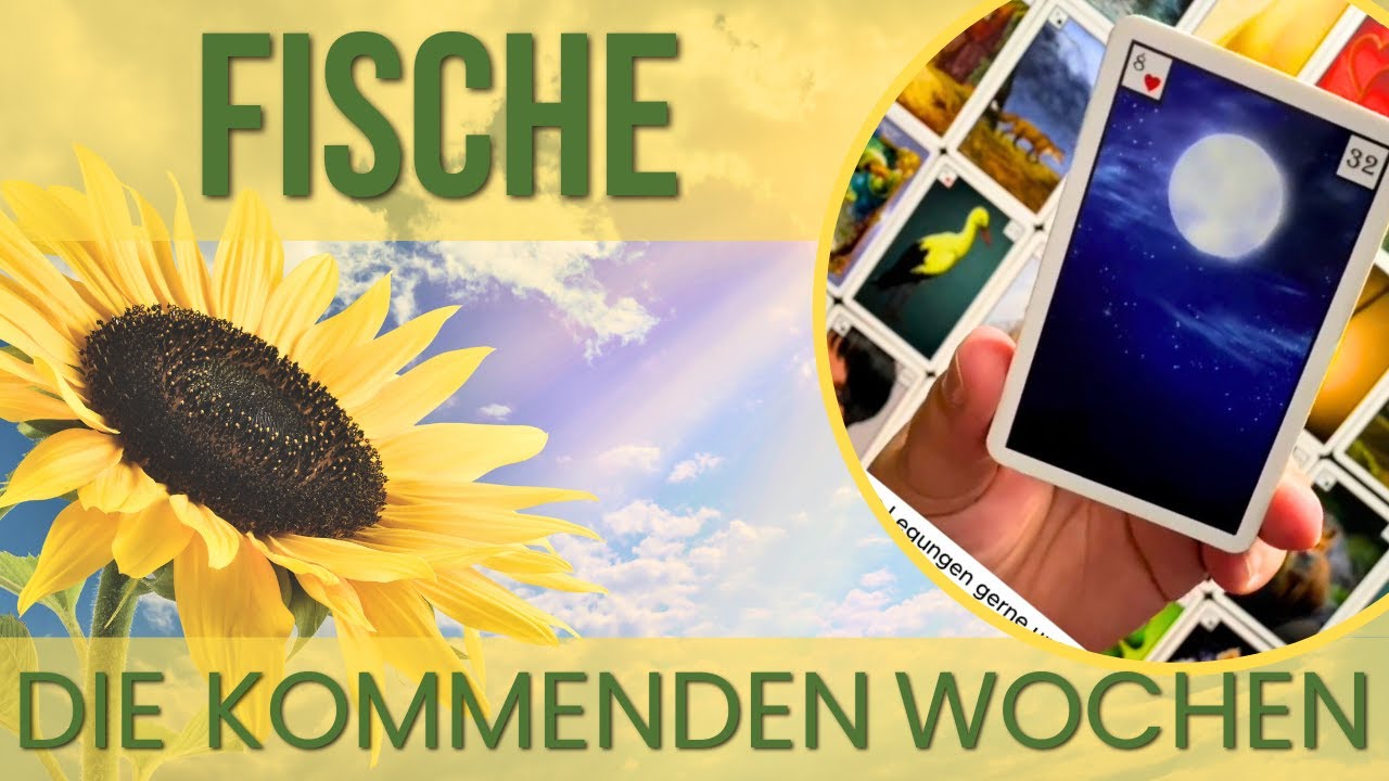 #Fische ♓️ August👉Das Vertrauen für die Zukunft in eine Liebesbeziehung prüfen