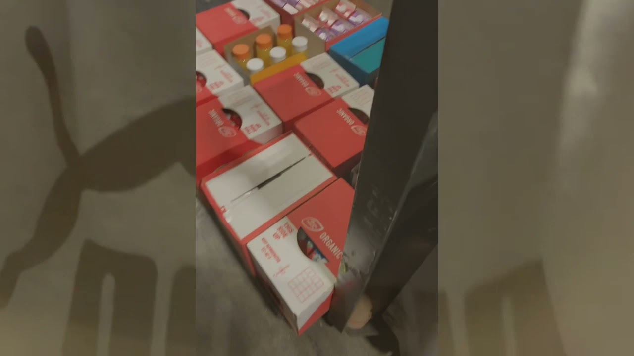 Aldis Warehouse Edition : Selector/Perishable 3 months Pregnant Part 1