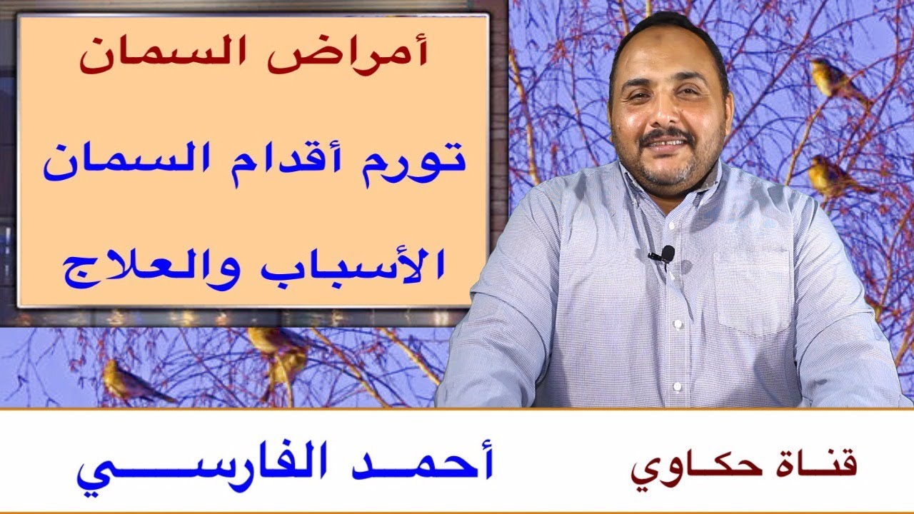 مشروع تربية السمان { 13 } أمراض السمان | مرض تورم أقدام السمان....أسبابه وعلاجه