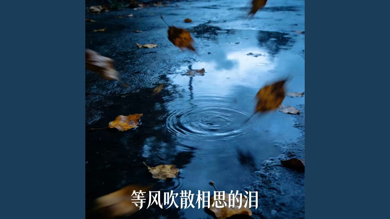 等风吹散相思的泪