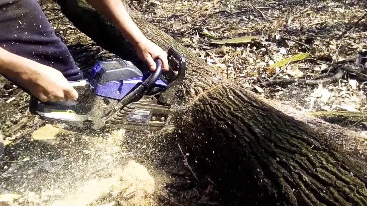 Hyundai 760 turbo (chainsaw) vs oak tree 2