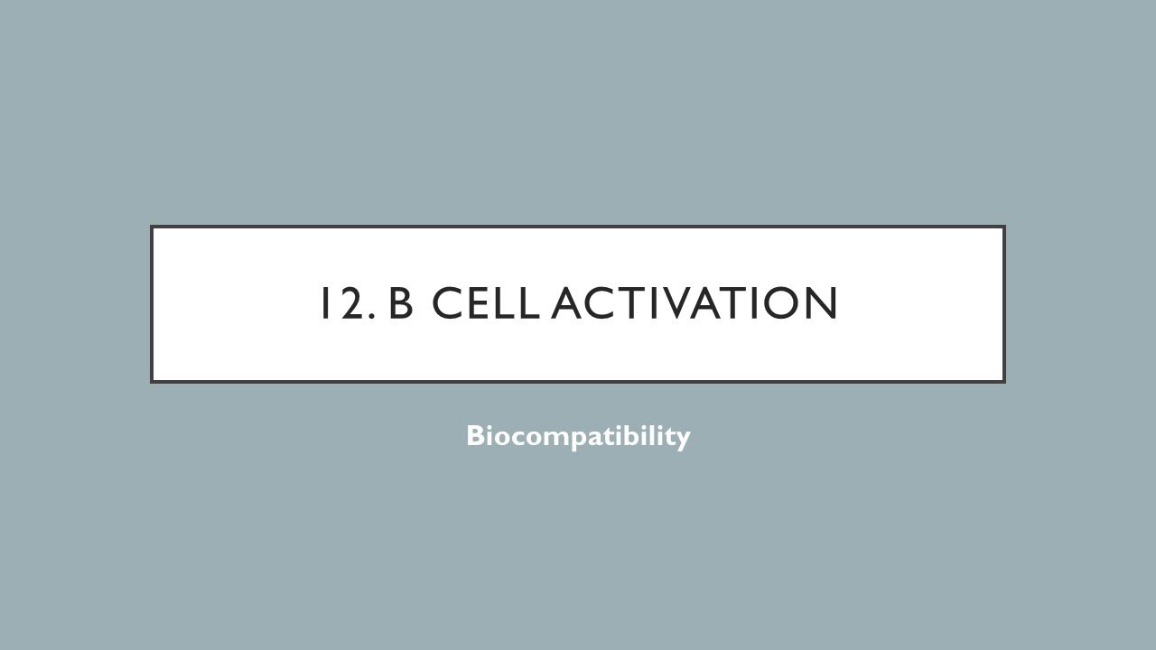 Biocompatibility - Ch. 12 - B Cell Activation