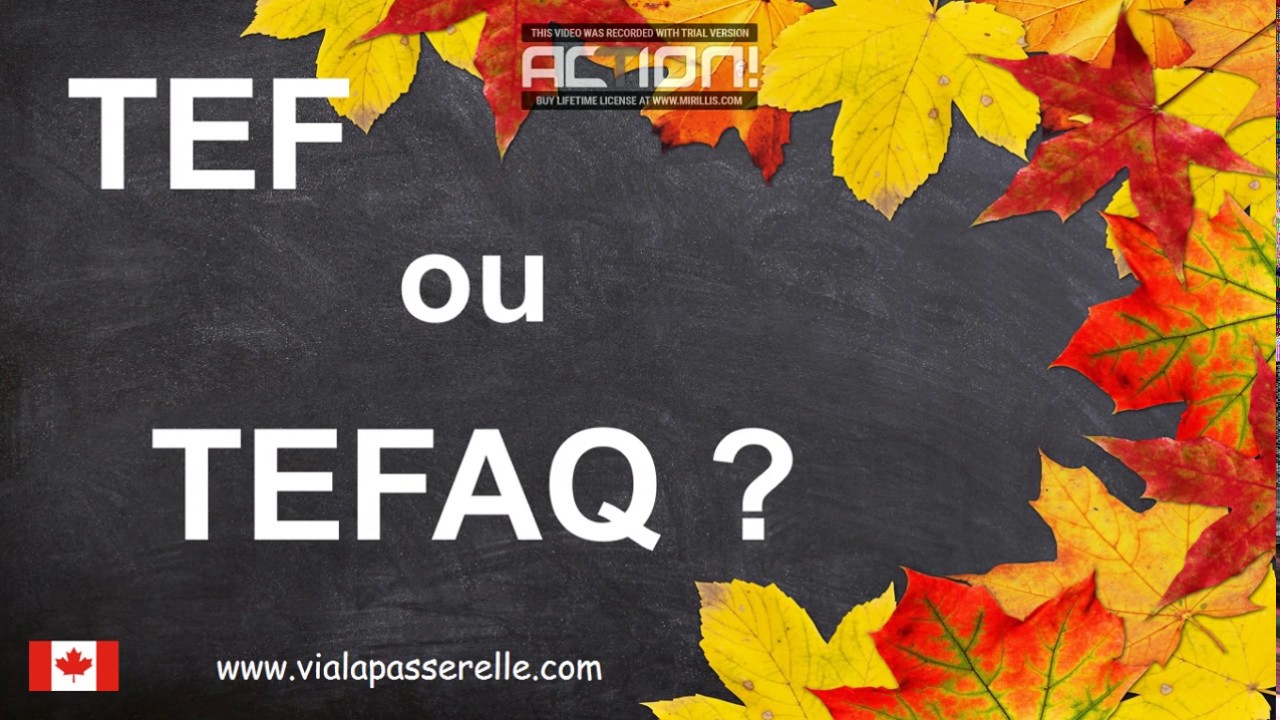 Examen TEF ou TEFAQ ? Préparation à l'immigration.