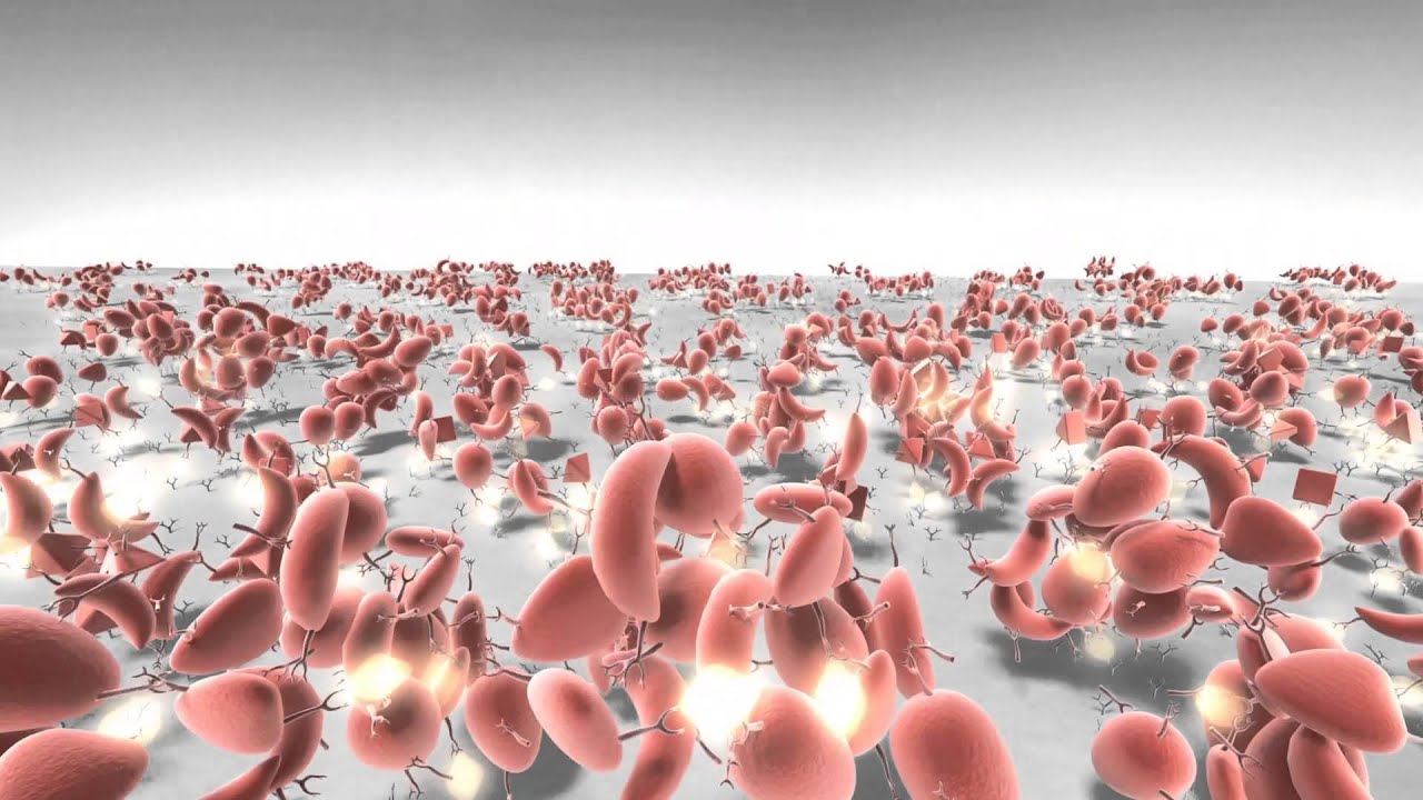 Gold Nanoparticles - BBI Solutions  - English