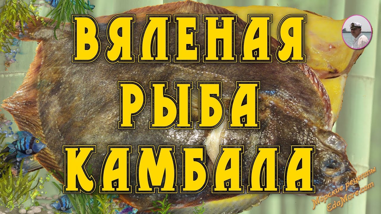 Вяленая рыба камбала от Petr de Cril&rsquo;on