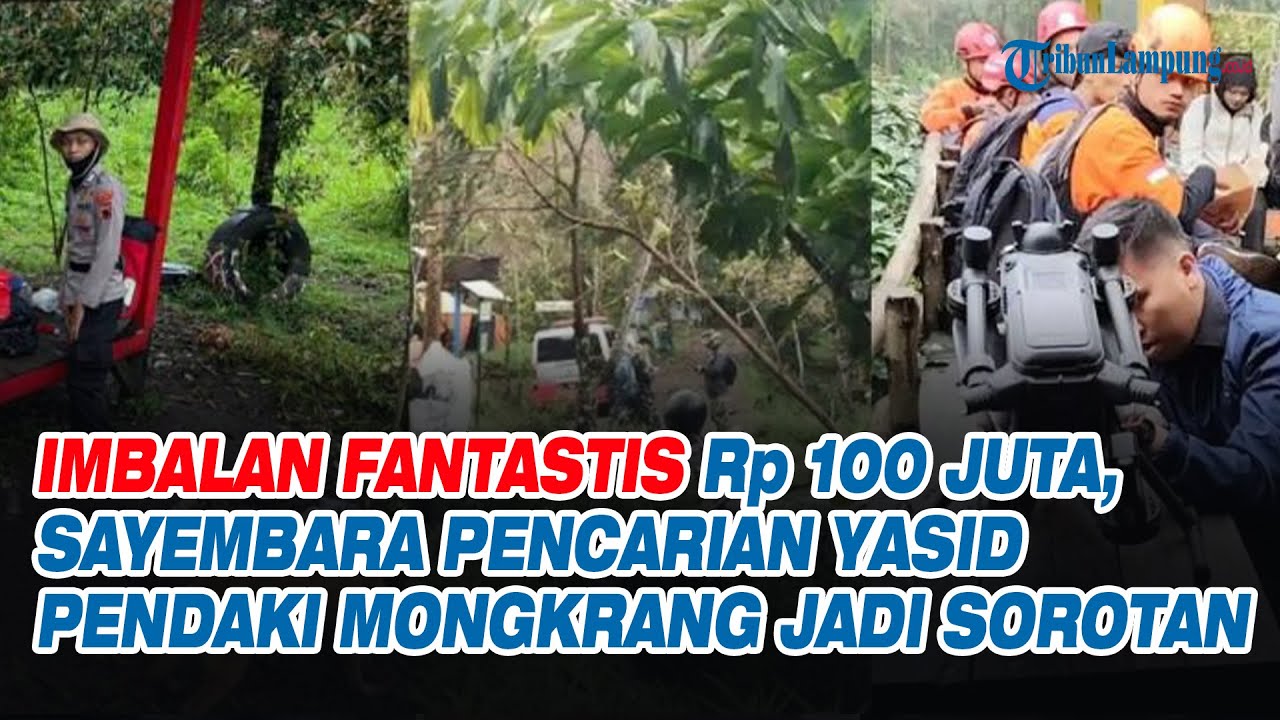 Imbalan Fantastis Rp100 Juta, Sayembara Pencarian Yasid Pendaki Mongkrang Ramai Dibicarakan