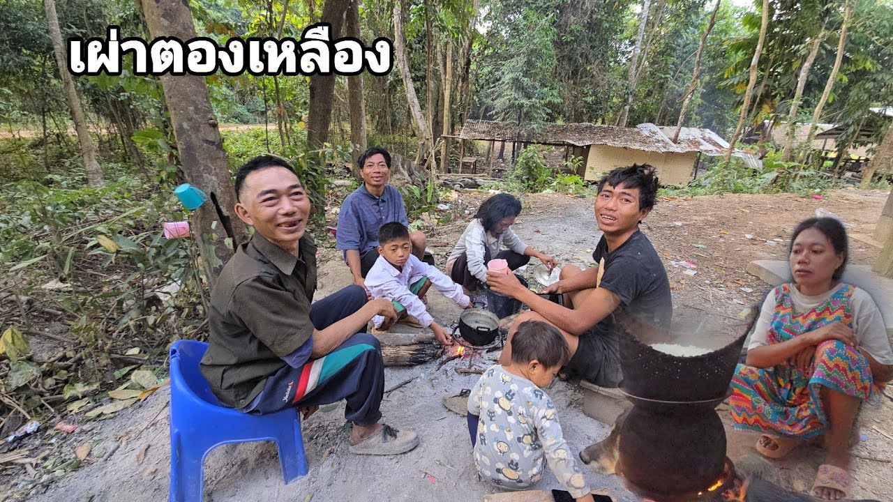 เริ่มดำเนินเรื่องทุกอย่างเพื่อให้ถูกต้องตามกฎหมายหวังว่าบ่าวเฟืองจะได้กลับมาบ้านเร็ว คนป่า bn saolao