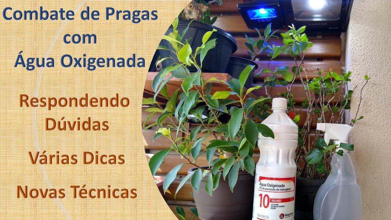Combate de Pragas com Água Oxigenada – Dicas, Novas Técnicas e Respondendo Dúvidas