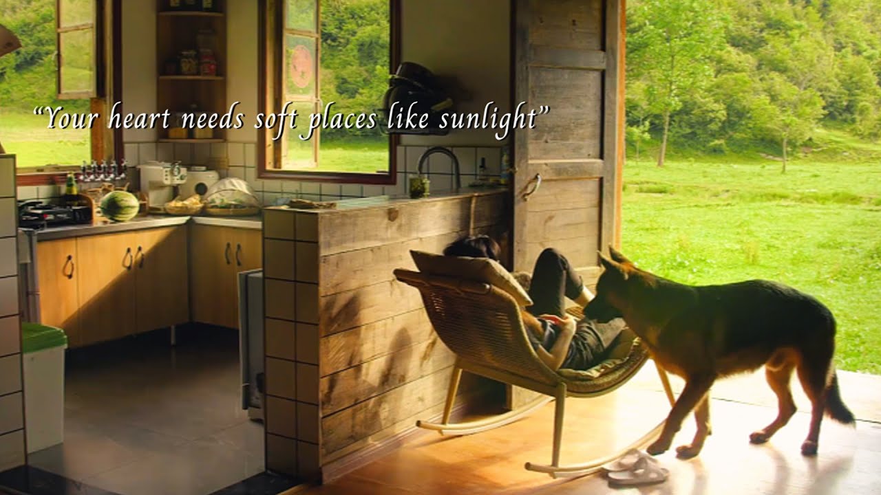 Your heart needs soft places like sunlight.../a playlist for quiet hours/