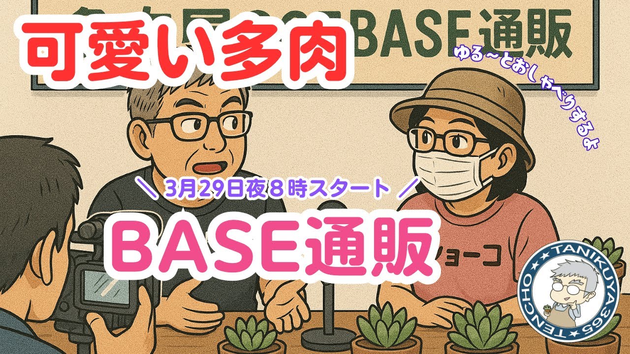 【多肉植物】BASE多肉販売内覧会！多肉占いや多肉クイズを交えて楽しくおしゃべり