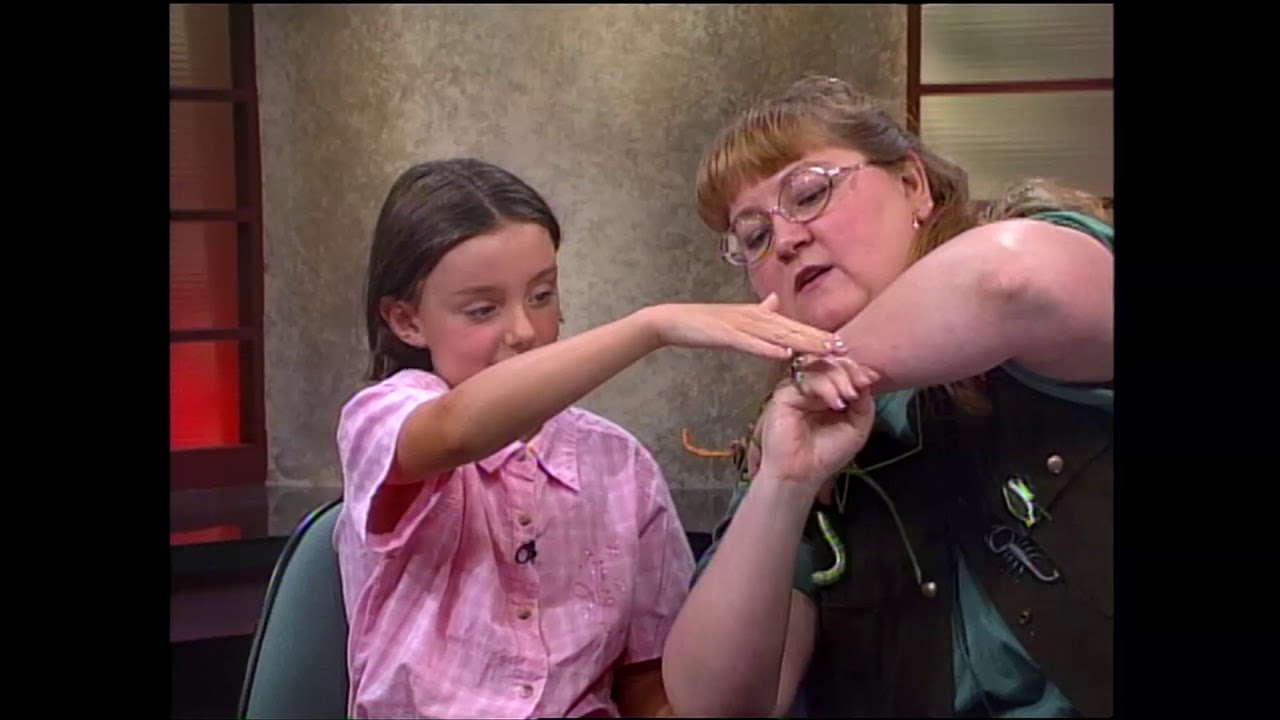 Janelle on CHEK News at Noon with Lee MacKenzie