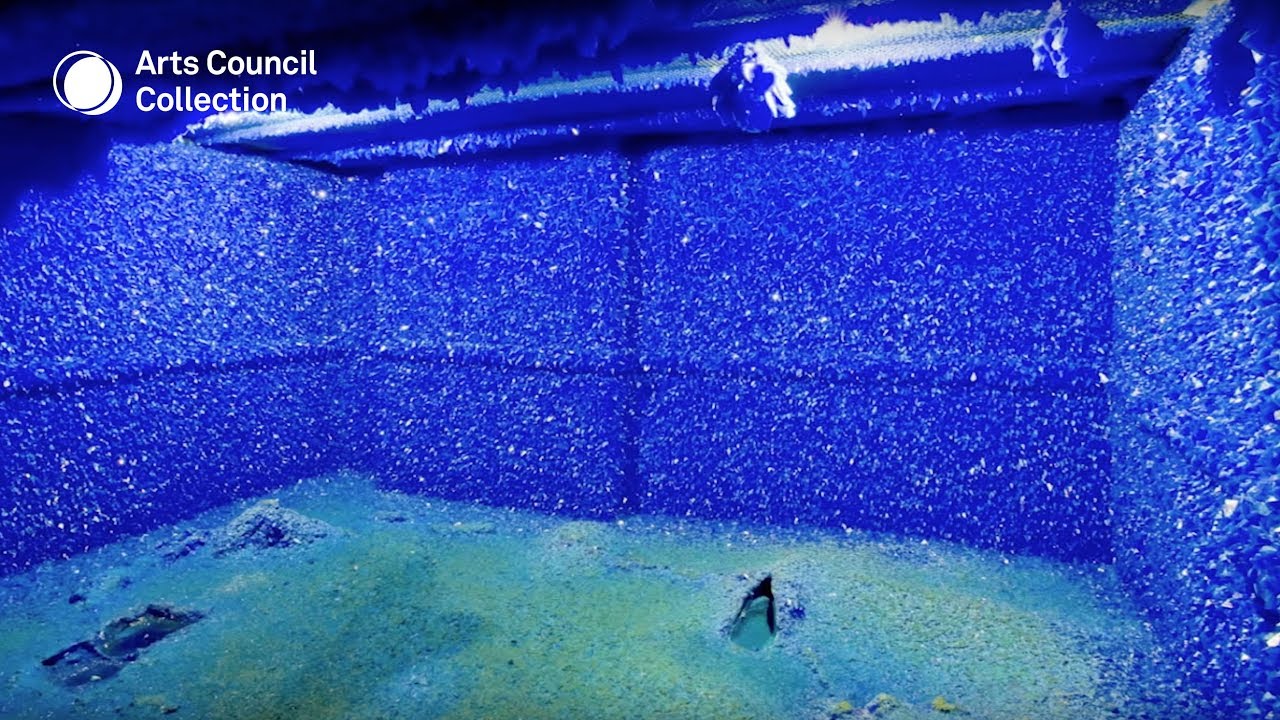 Roger Hiorns, Seizure, 2008/2013