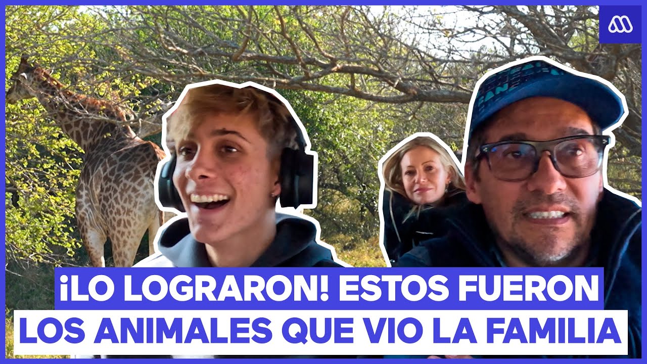 &iexcl;Lo lograron! Los animales que la familia Araneda Vacarezza vio en su primer d&iacute;a | Vive Sud&aacute;frica