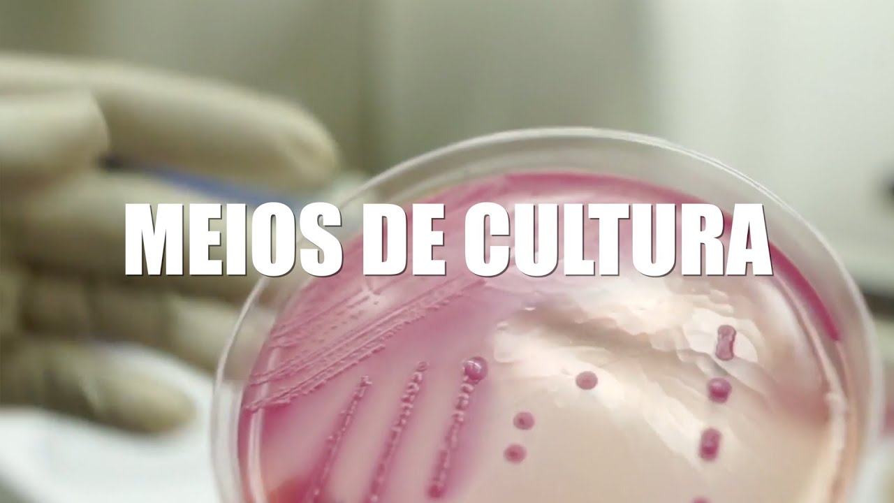 Três meios de cultura usados na MICROBIOLOGIA!