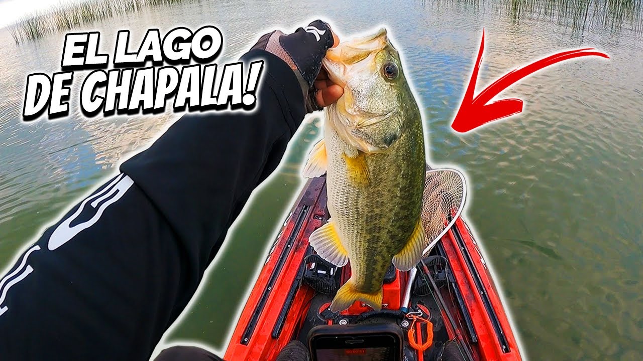 Pescando en LAGO DE CHAPALA por Primera Vez