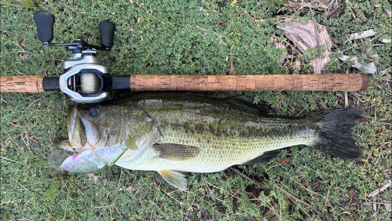 Tiny Klash Catches (BIG) Bass In the “Deadwalk” MODE 
