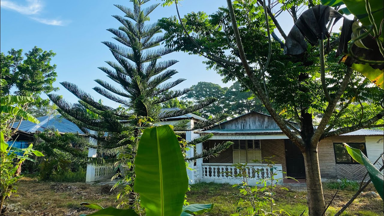 HERMOSA PROPIEDAD CERCA DEL SONADOR DEL CAMPO DE  YASICA ,PUERTO PLATA EN VENTA