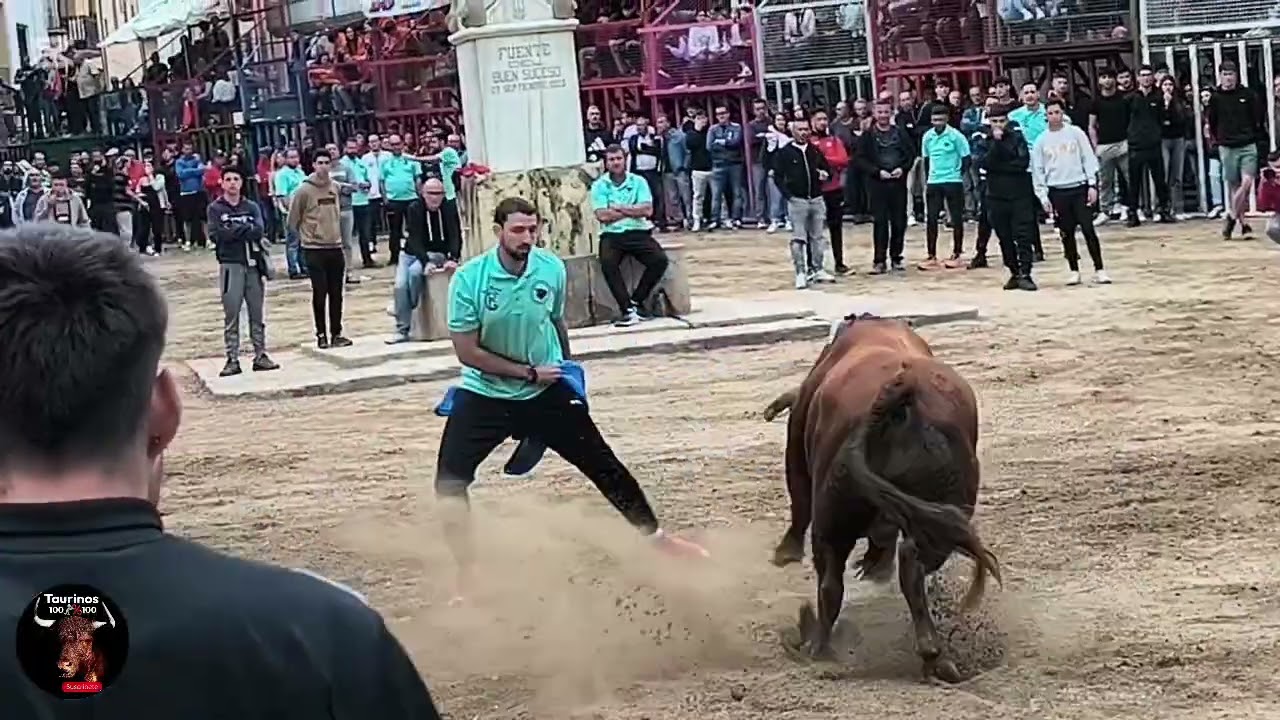 CABANES ( CS ) 10-5-2025 TOROS CERRILES DE SERGIO CENTELLES BADAL Y ÁNGEL GÓMEZ NÚÑEZ