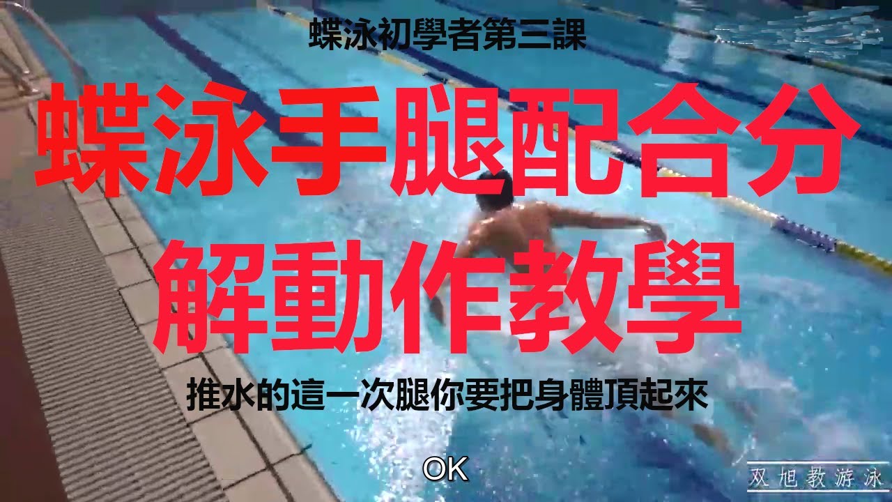 蝶泳初学者第三课，手腿配合分解动作教学！Arms and legs with decomposition action Teaching