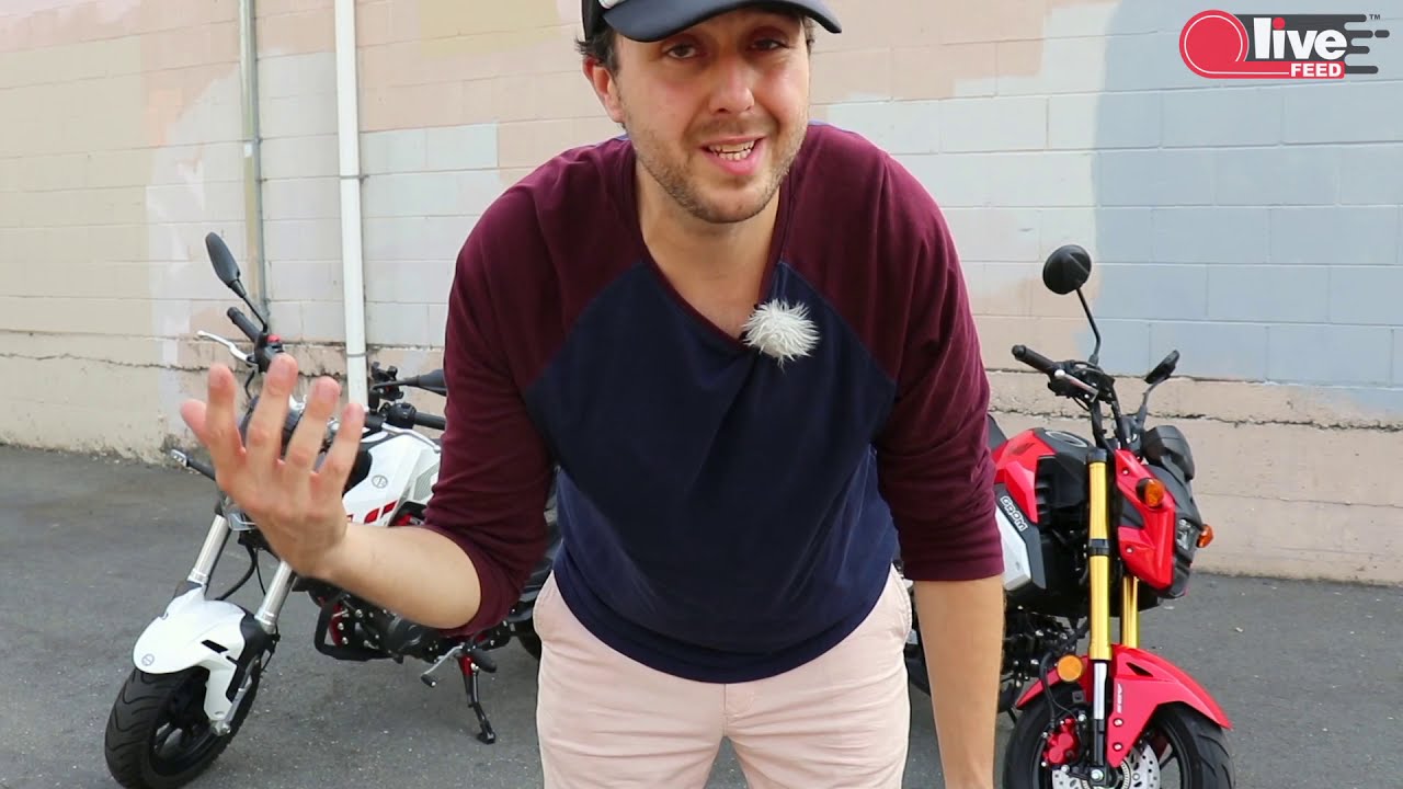 Honda Grom против Benelli TNT 135 | LiveFEED Side by Side