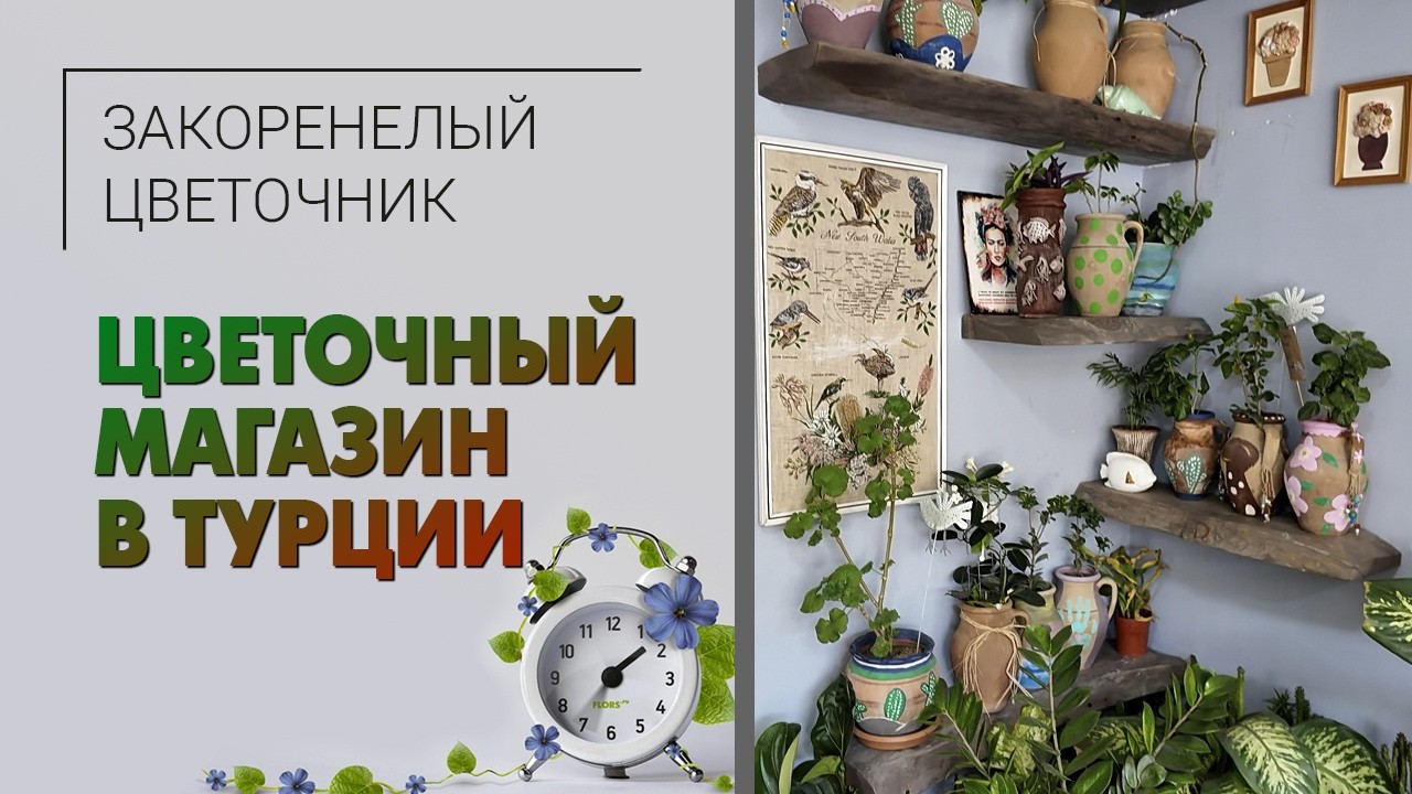 Цветочный магазин в Турции:  единственный магазин цветов в посёлке. Сложный бизнес во всём мире.