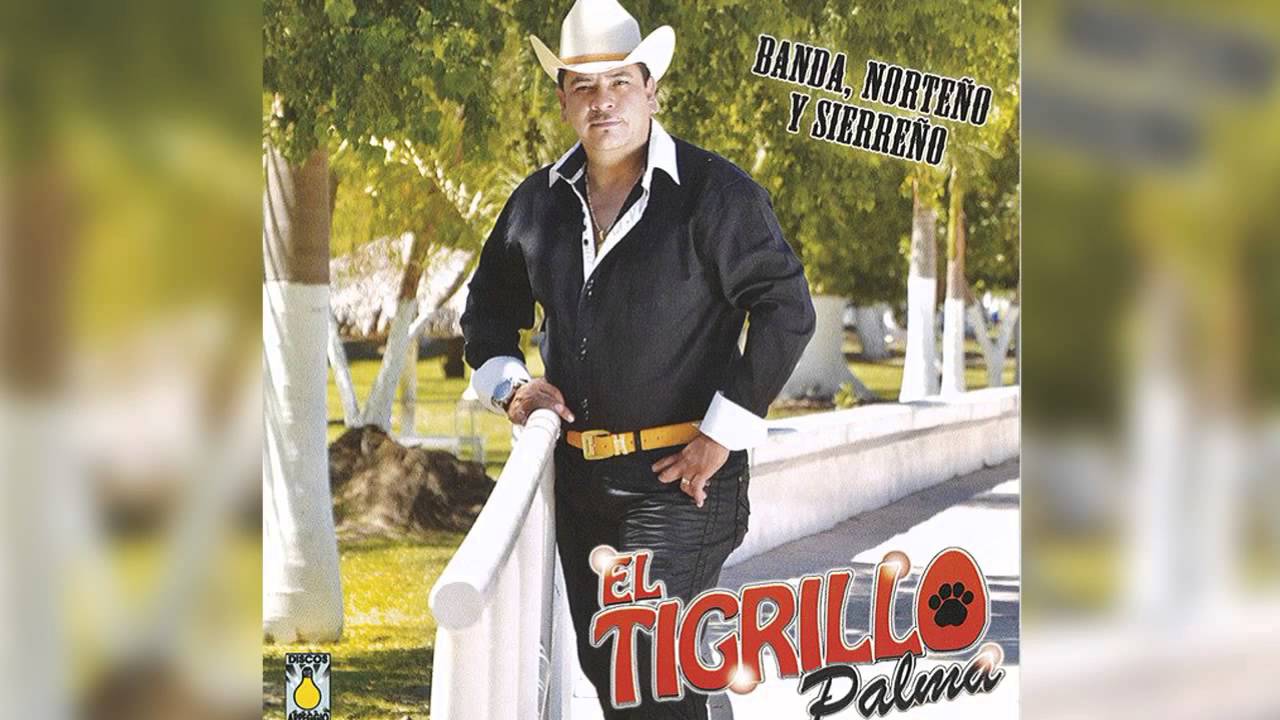 El Tigrillo Palma - El Austero