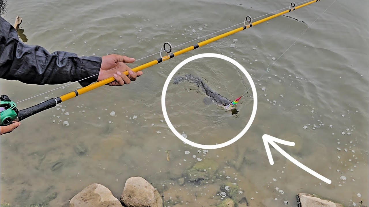  Snakehead Catch Fishing Adventures Attack pay Attack