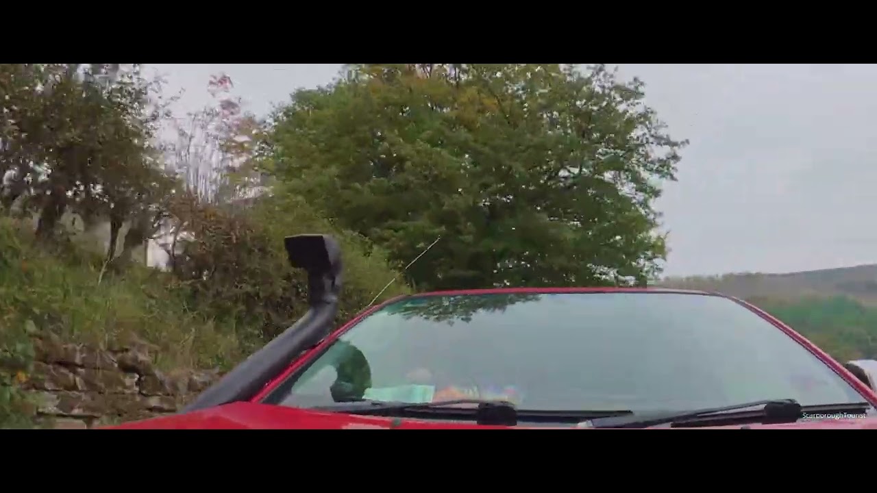 Autumn  Leaves - DJI Osmo 360°