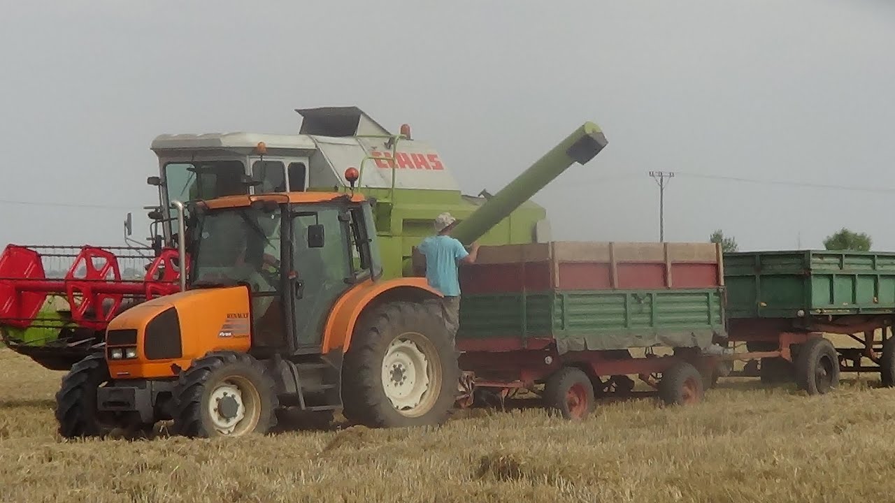 Żniwa 2015 - Pszenica - Podkarpacie - Claas Dominator 86, Renault Ares 540 RX, Volvo FH12