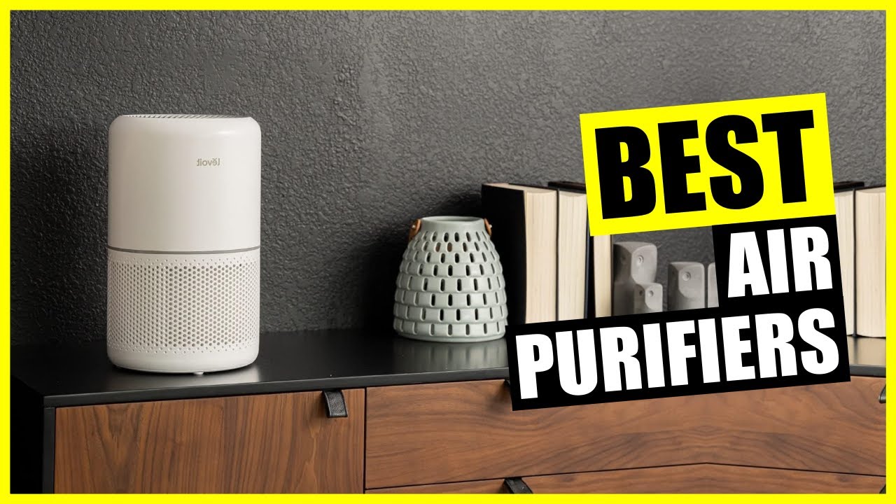 Best Air Purifier [2024]