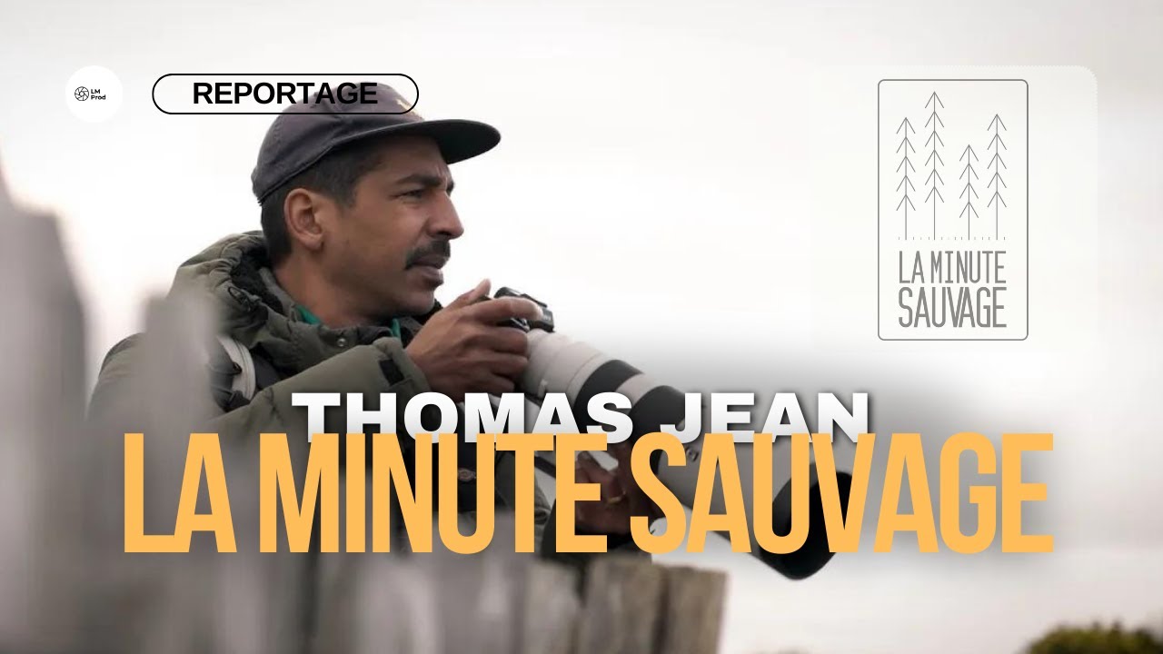 LA MINUTE SAUVAGE : DÉCOUVREZ LA FAUNE SAUVAGE DE VOTRE VILLE !