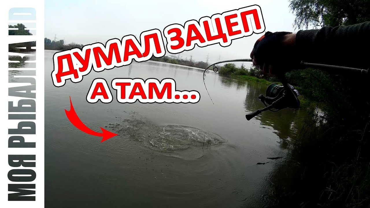Поймал живую корягу | Тест нового спиннинга | SALMO Diamond Jig 15 2.10 L | 2018