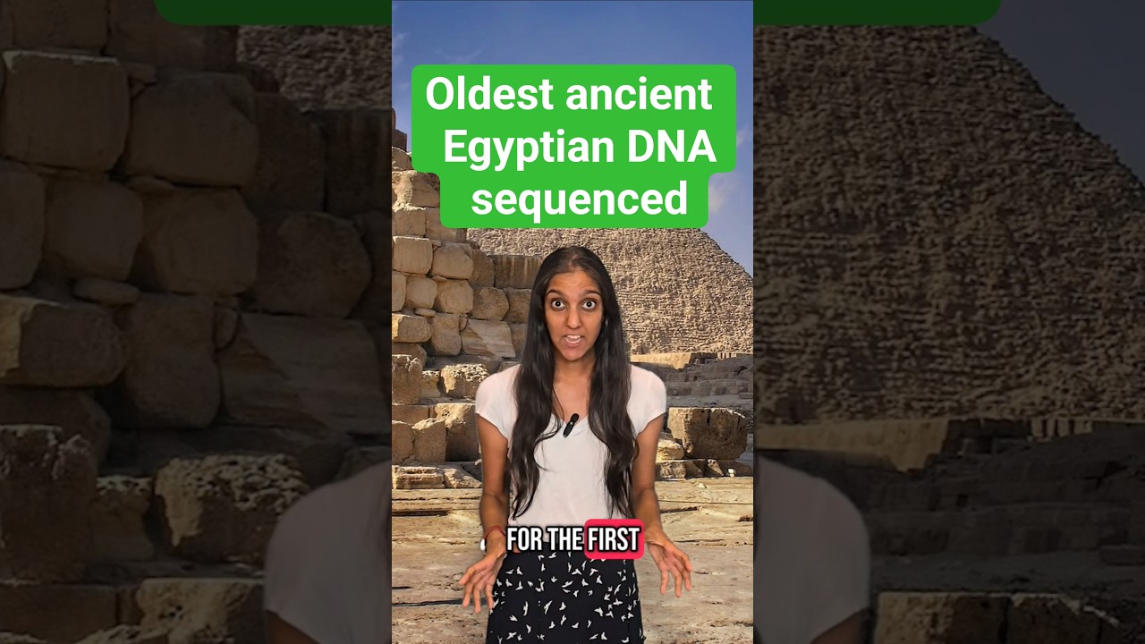 Oldest ancient Egyptian DNA sequenced