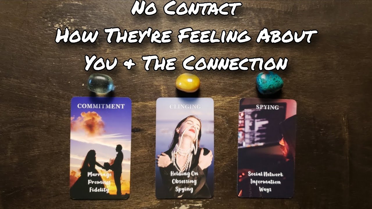 🤐 No Contact | How Are They Feeling About You & The Connection? 💗💕 Pick A Card Love Reading