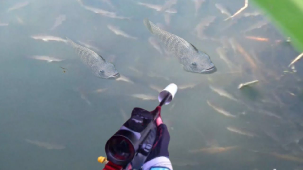 Gila sepot ini ikannya melimpah PASER IKAN