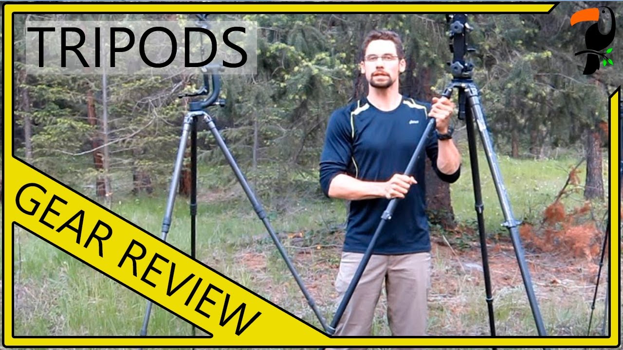 Photography Gear - Tripods for Wildlife Photography