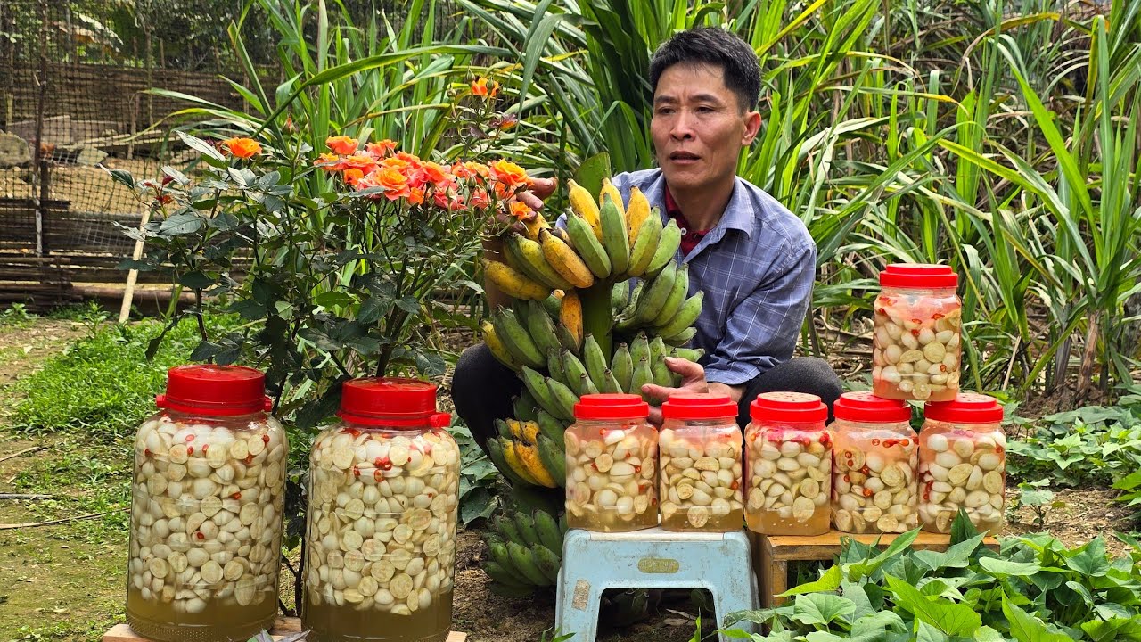 Harvest Bananas & Pickled Eggplants To Sell - Cook For Puppies | Solo Survival
