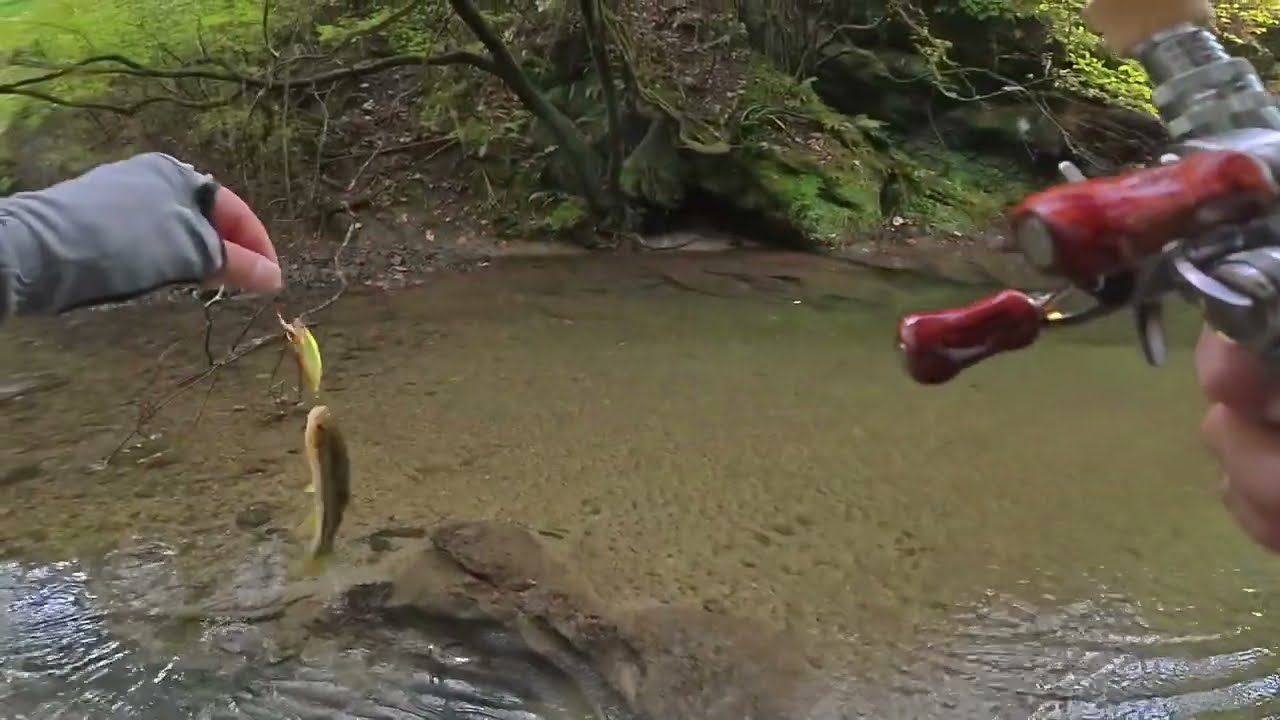 適当に渓流ベイトで遊び倒す【ヤマメが居なくなっちった？】