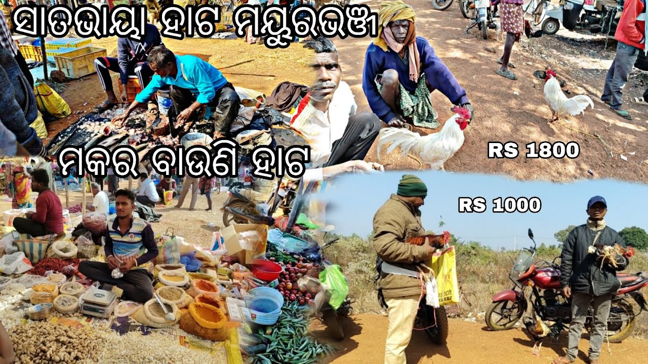ସାତଭାୟା ହାଟ ମୟୁରଭଞ୍ଜ ବାରିପଦା ରୁ ୩୦ କିମି ଦୂର ମକର ବାଉଣି ହାଟ ସାତଭାୟା ହାଟ #odiavolg #vlogger #vlog