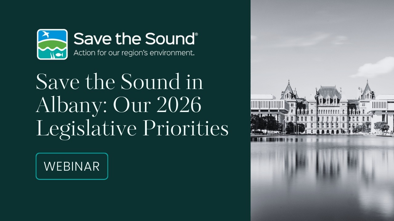 Save the Sound in Albany: Our 2026 Legislative Priorities