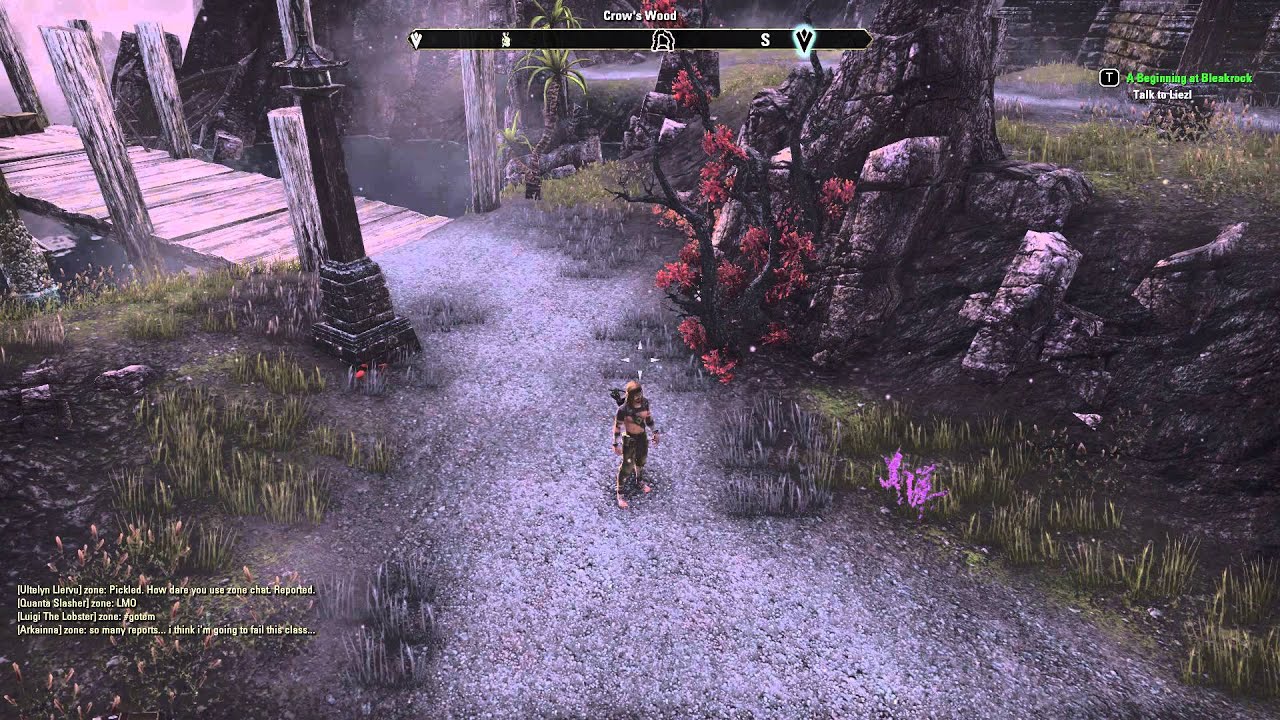 A Report To Zenimax Studios