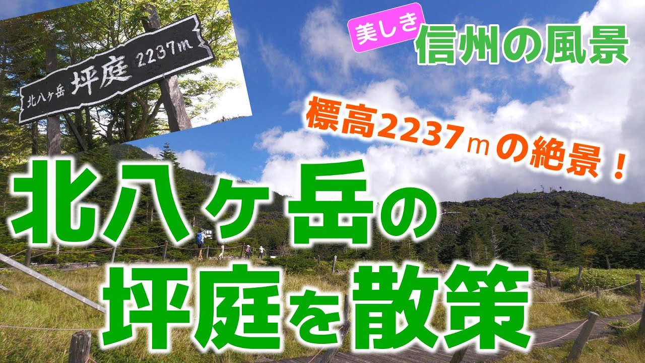 【自然風景】北八ヶ岳ロープウェイで気軽に標高2237ｍへ！　北八ヶ岳の坪庭を散策