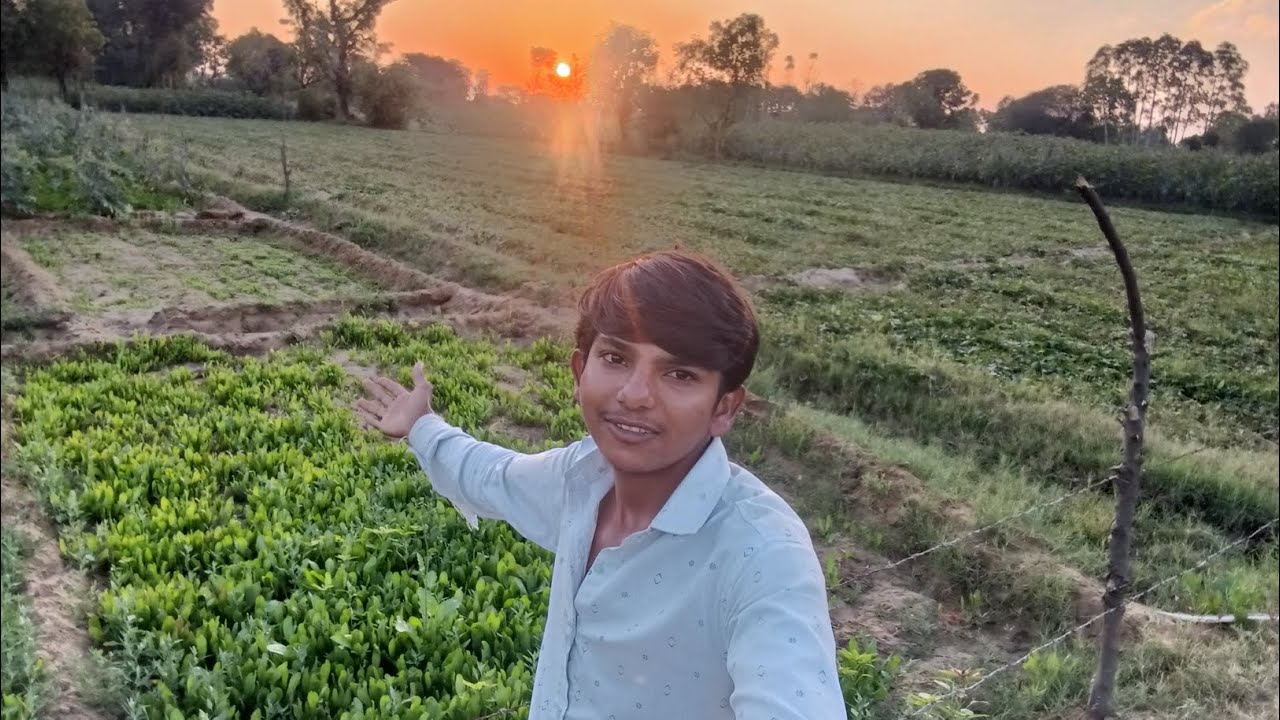 આજેતો ગયા