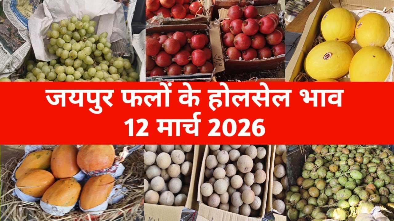 12 मार्च 2026 फलों के ताजा भाव | jaipur fruit market | jaipur mandi bhav 