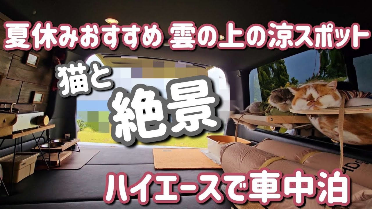 雲海と星空！標高1000m超えの車中泊スポット【標高ボディーハイエース】
