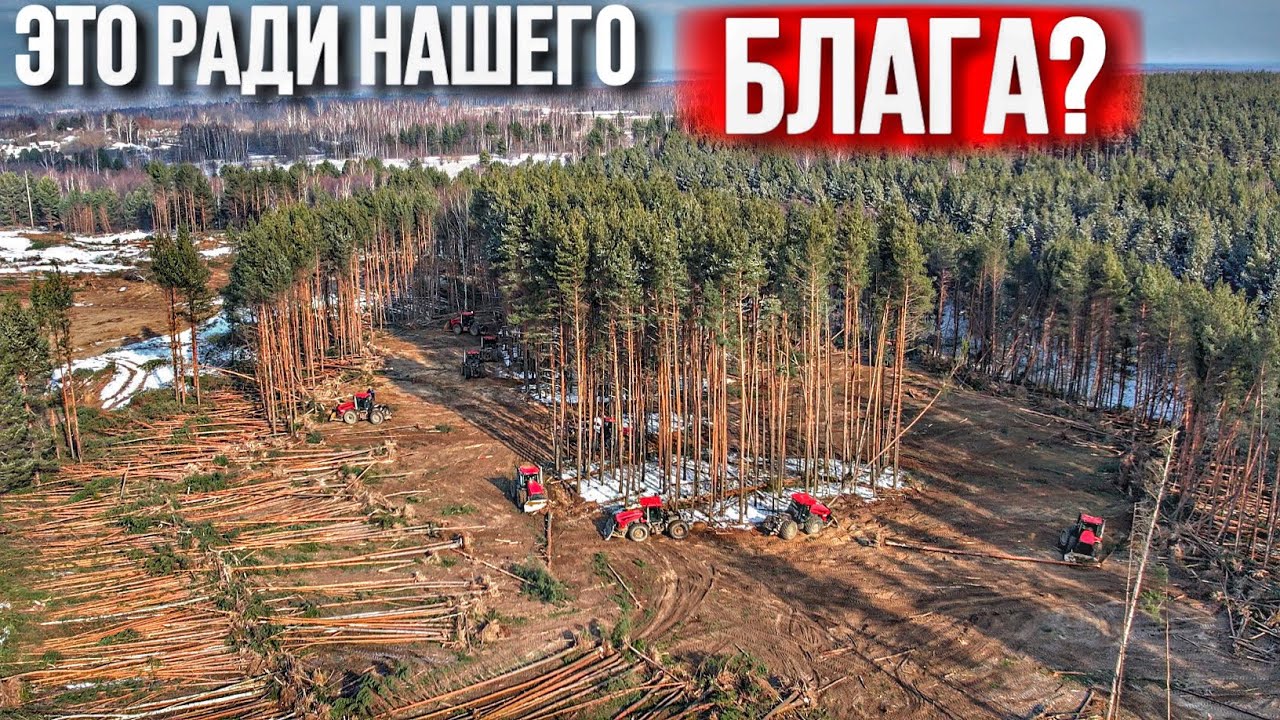 30 КИРОВЦЕВ УНИЧТОЖАЮТ ЛЕС РАДИ СЕЛЬСКОГО ХОЗЯЙСТВА