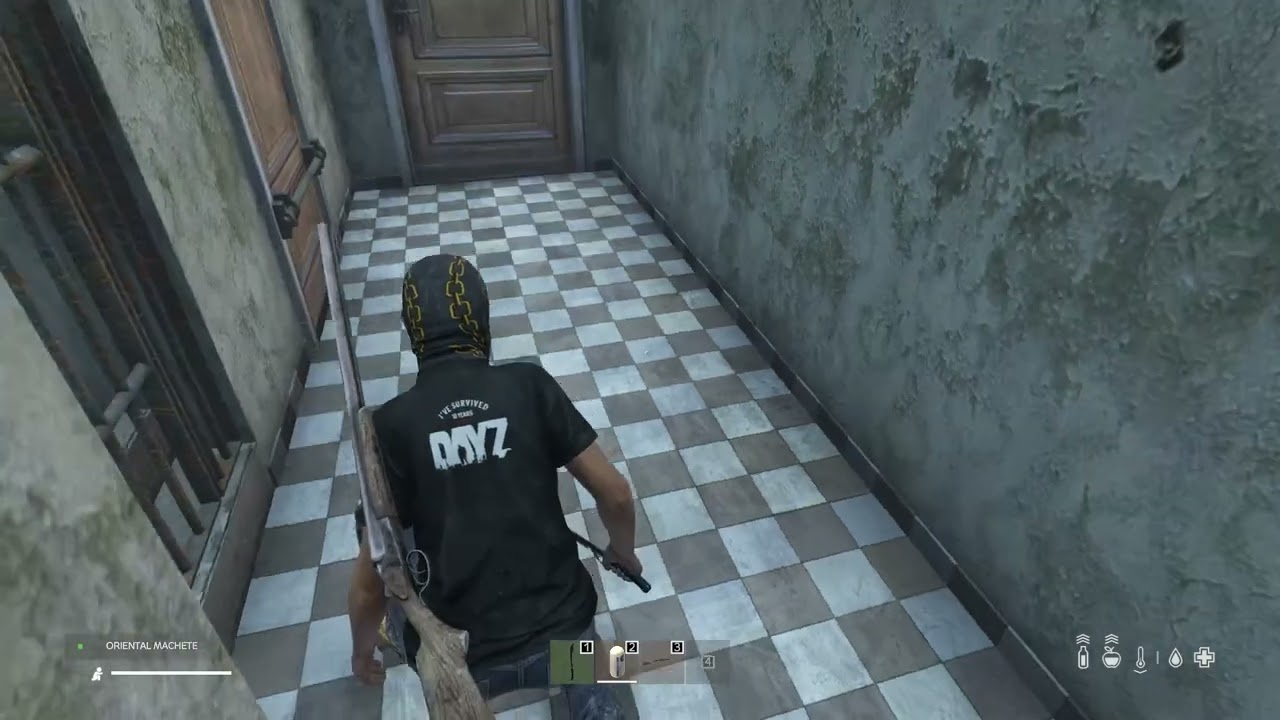 Dayz chernarusplus