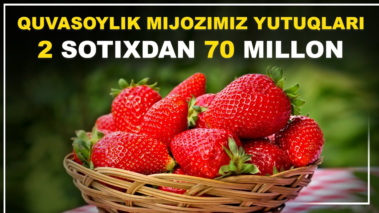 2 SOTIXDAN 70 MILLON OLAYOTGAN MIJOZIMIZ | #uzgrow